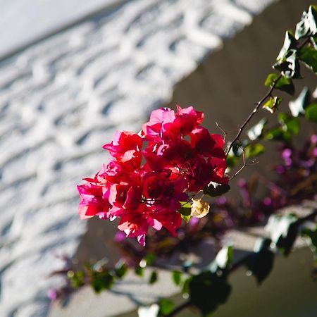 卡瑞亚普芮丝酒店 博德鲁姆 外观 照片